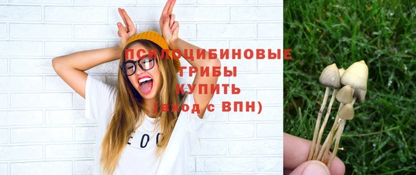 спиды Дмитров