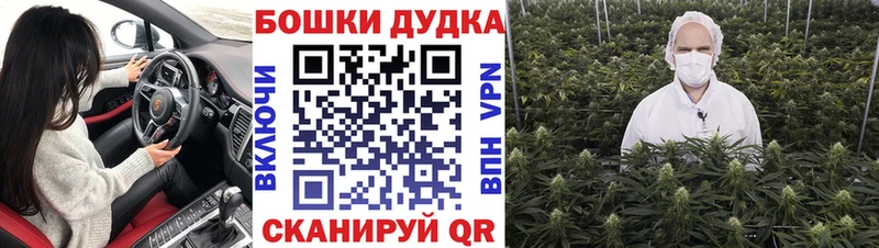 kraken зеркало  Новое Девяткино  Каннабис VHQ 